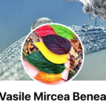 Poză de profil pentru BENEA-Vasile-Mircea